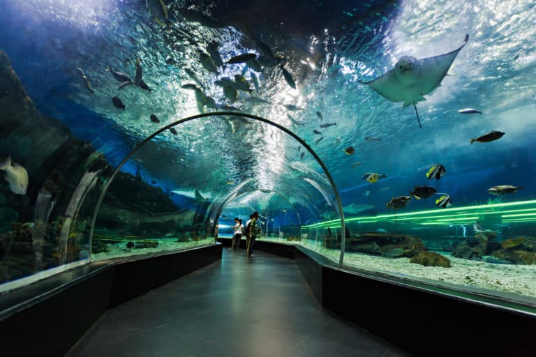 Den Blå Planet, Danmarks Akvarium